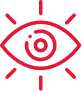 Our Vision